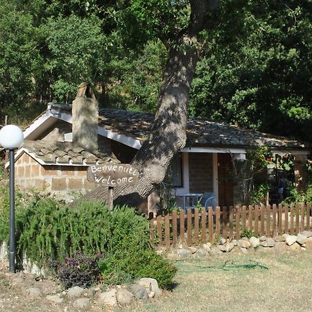 Azienda Agricola Biologica La Cardellina 톨파 외부 사진