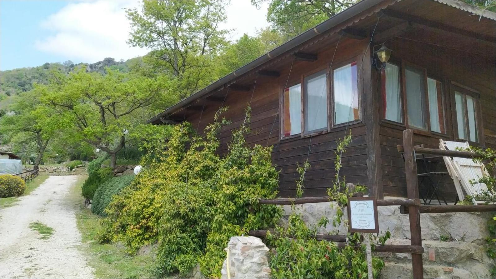 Azienda Agricola Biologica La Cardellina 톨파 외부 사진