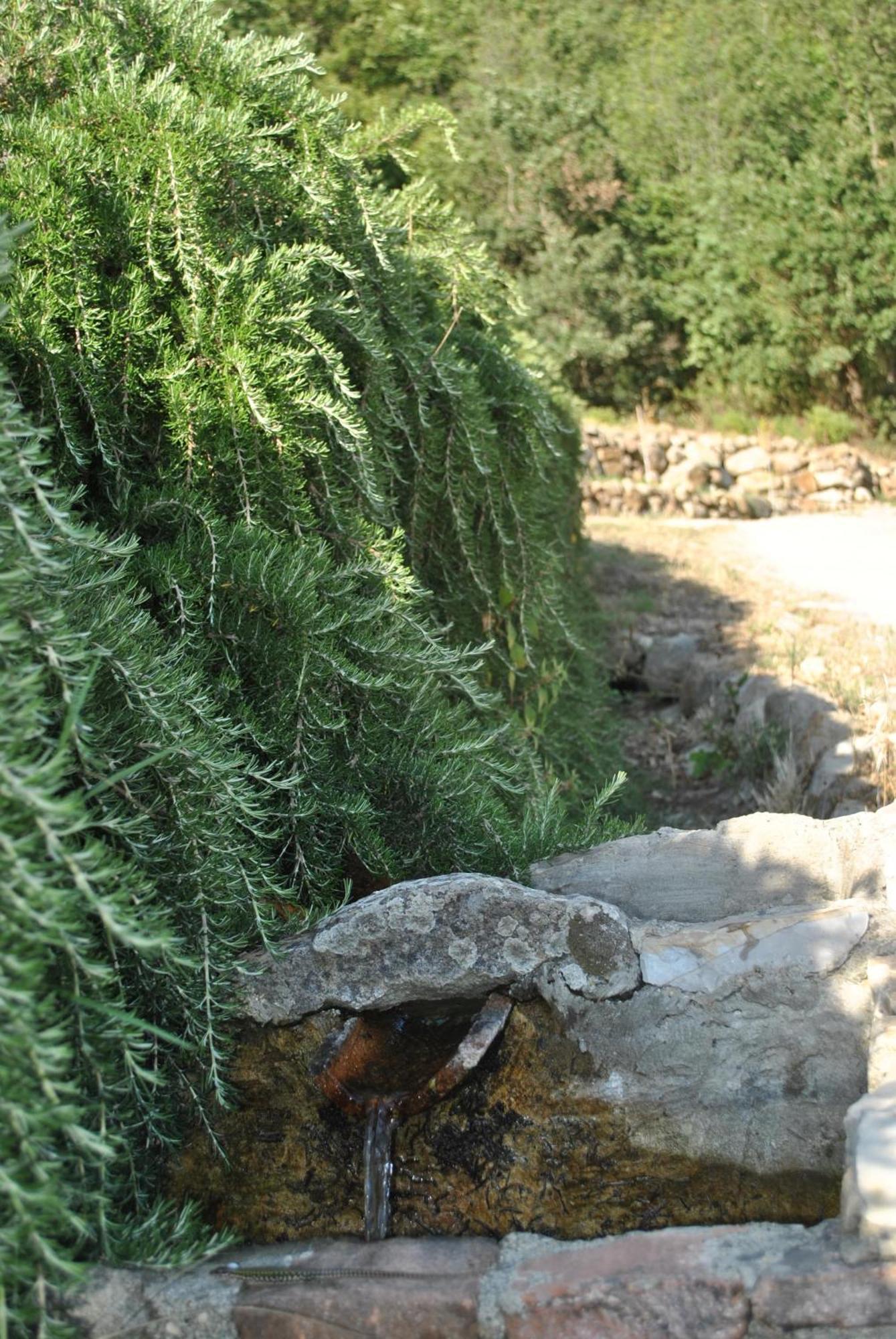 Azienda Agricola Biologica La Cardellina 톨파 외부 사진