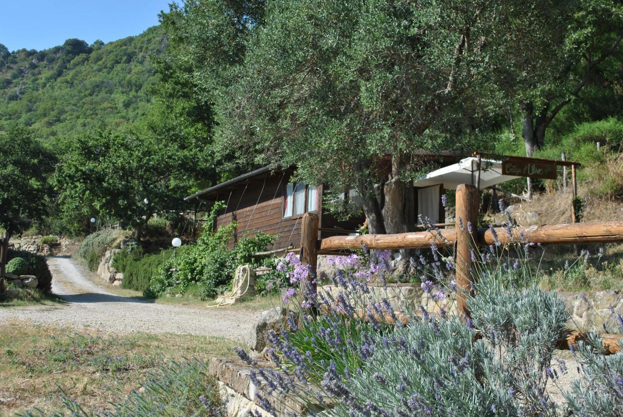 Azienda Agricola Biologica La Cardellina 톨파 외부 사진