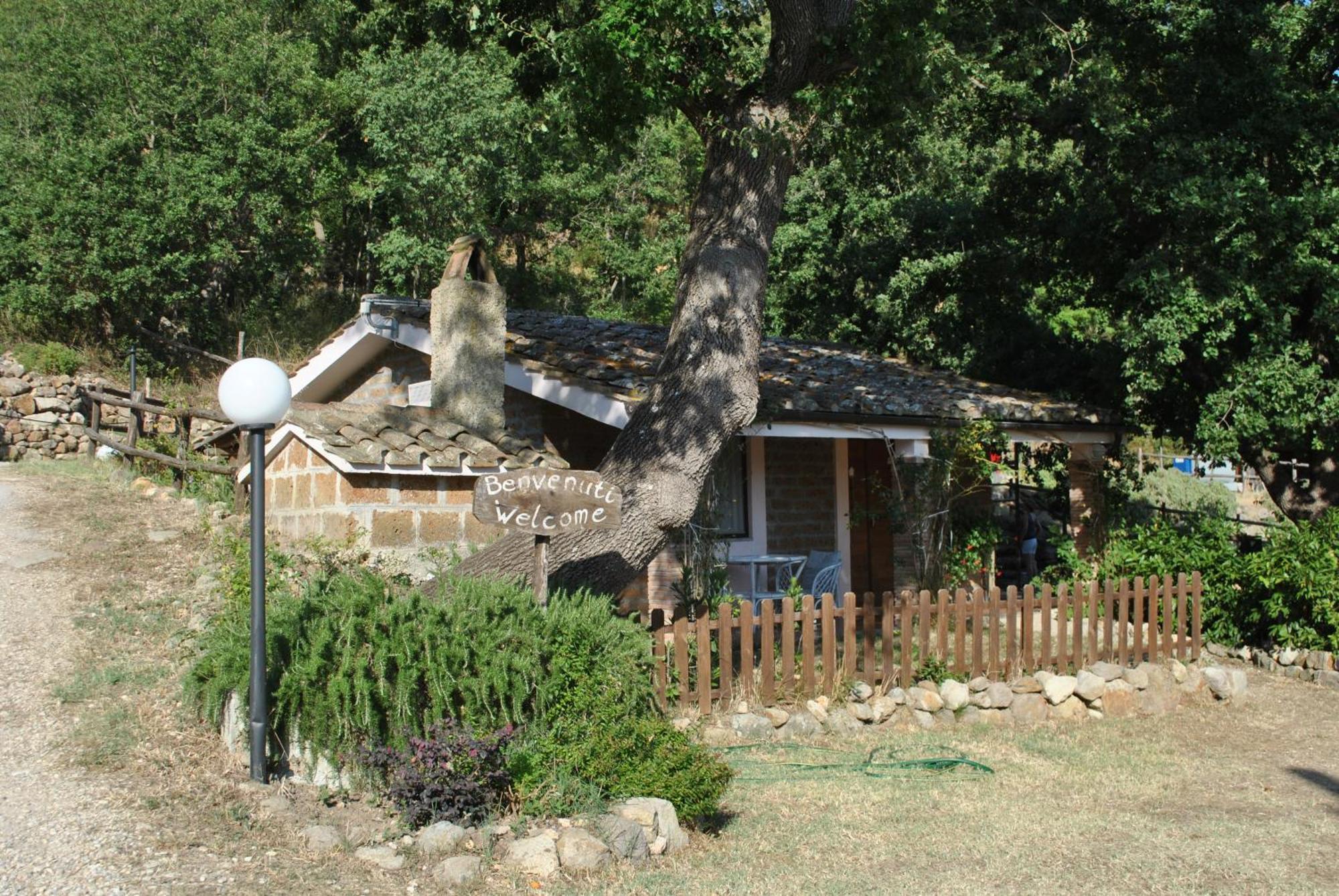 Azienda Agricola Biologica La Cardellina 톨파 외부 사진
