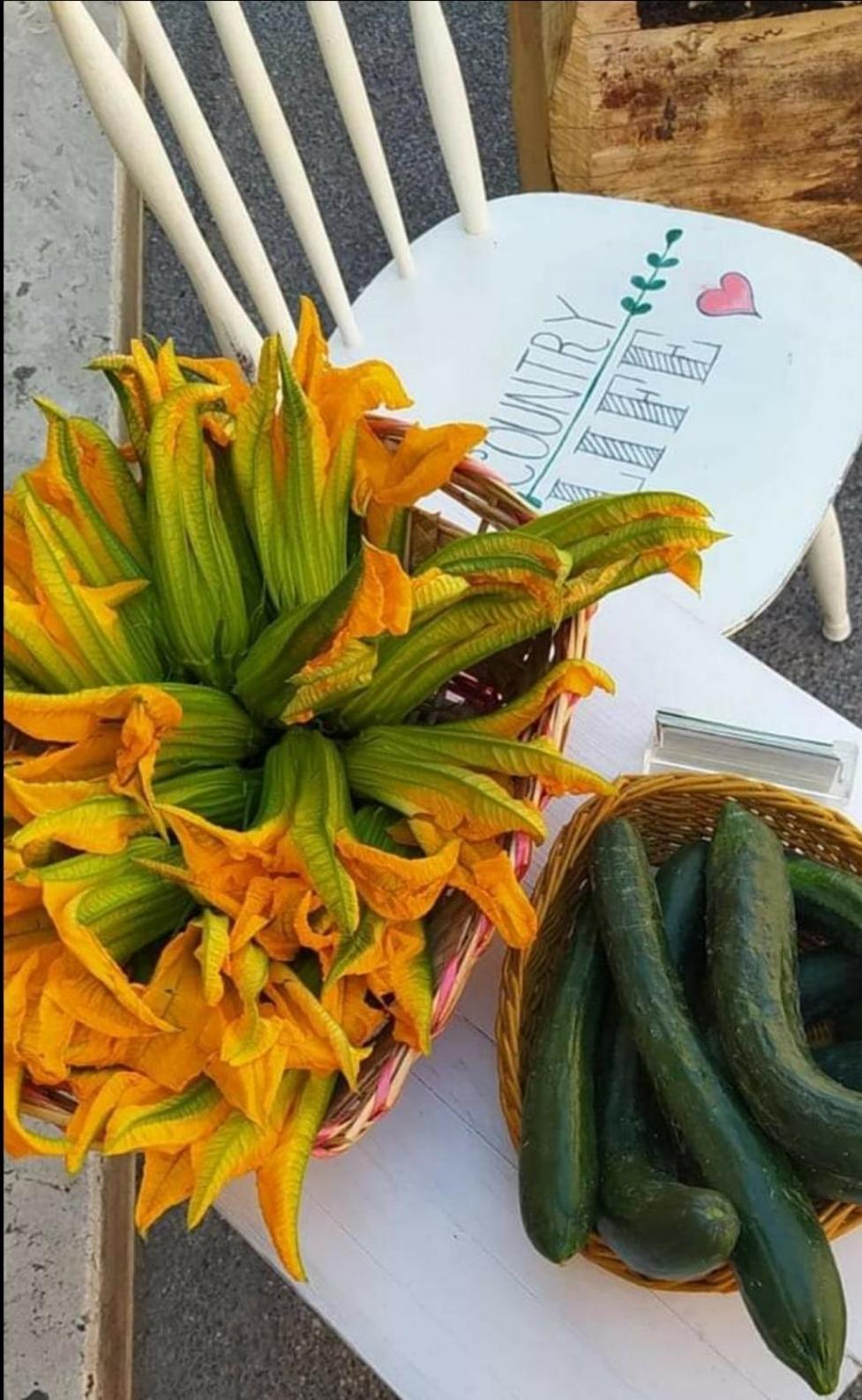 Azienda Agricola Biologica La Cardellina 톨파 외부 사진