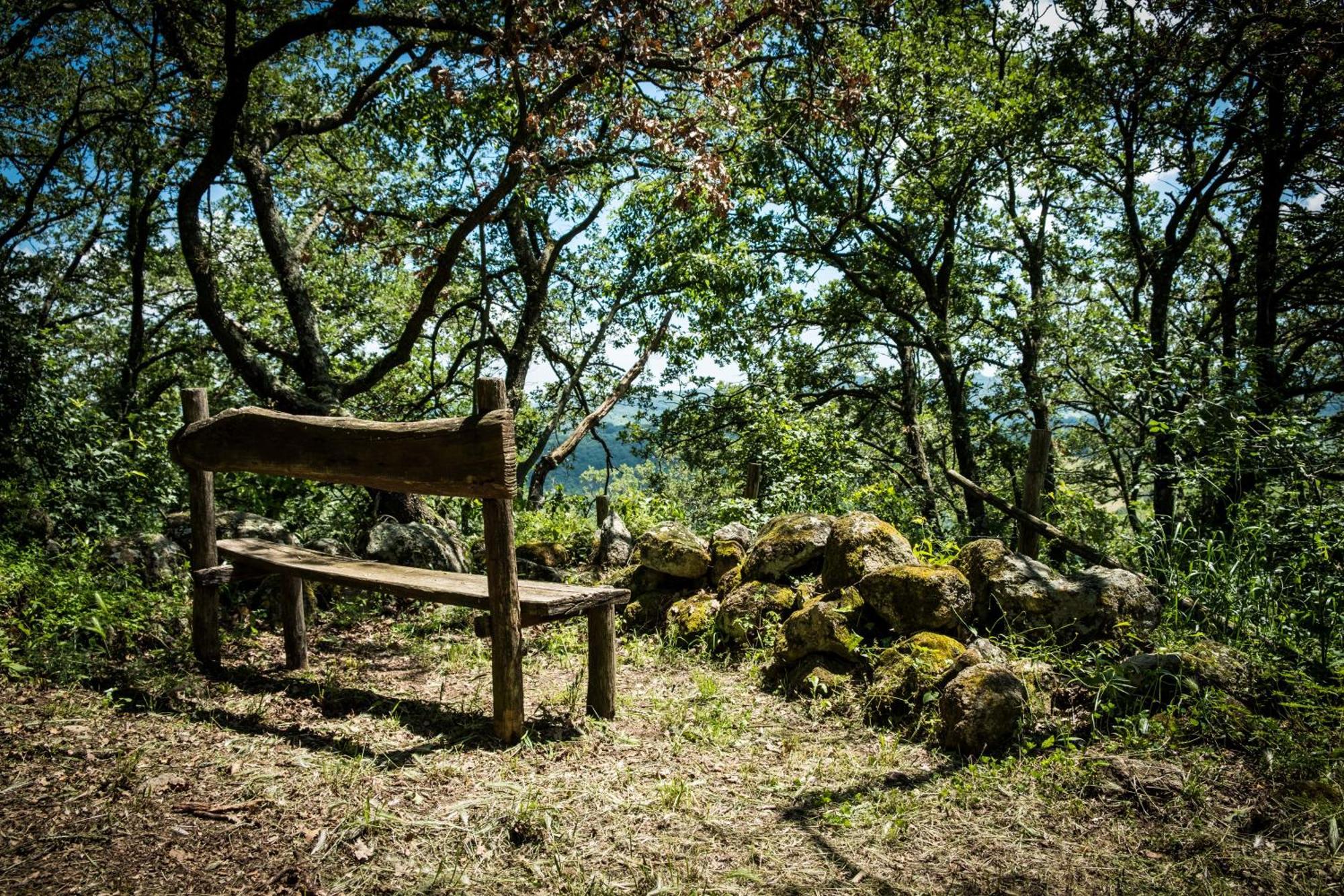 Azienda Agricola Biologica La Cardellina 톨파 외부 사진