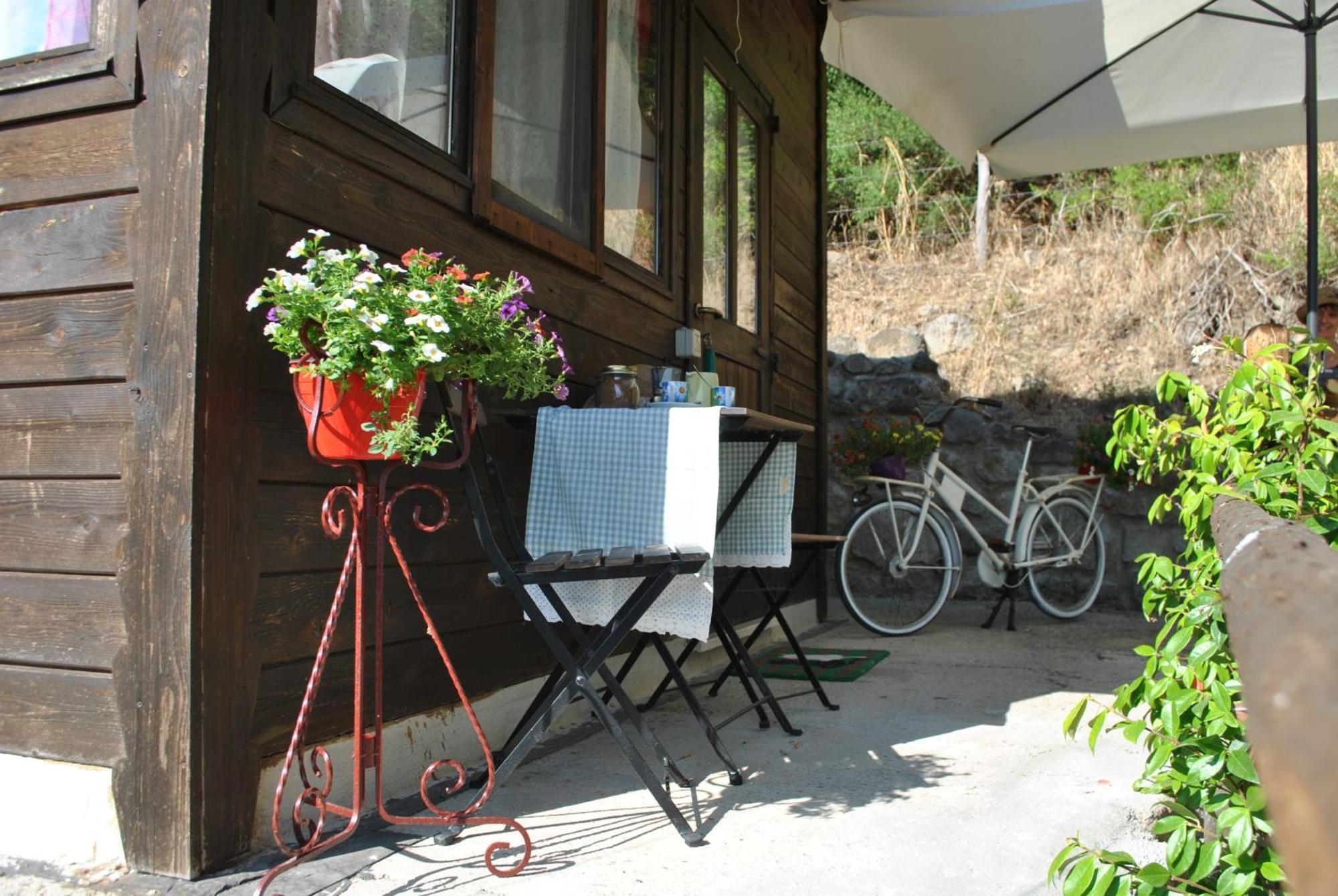 Azienda Agricola Biologica La Cardellina 톨파 외부 사진