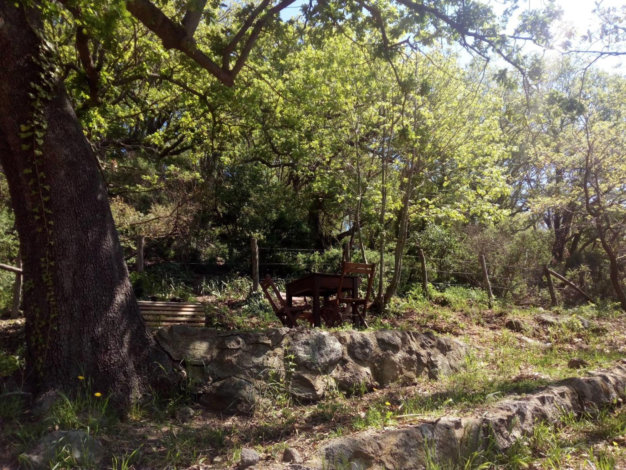 Azienda Agricola Biologica La Cardellina 톨파 외부 사진