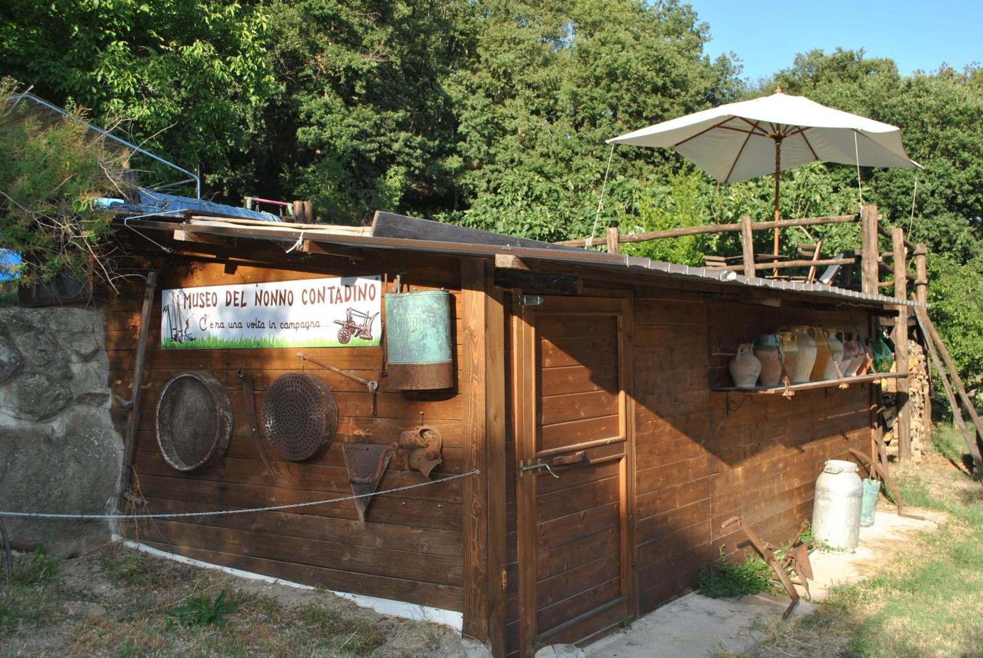 Azienda Agricola Biologica La Cardellina 톨파 외부 사진
